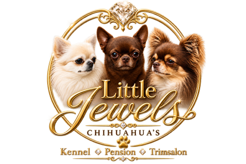 Kennel Little Jewels